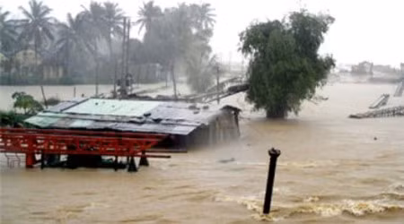 Nhìn lại 2019: Năm của thiên tai cực đoan, dị thường