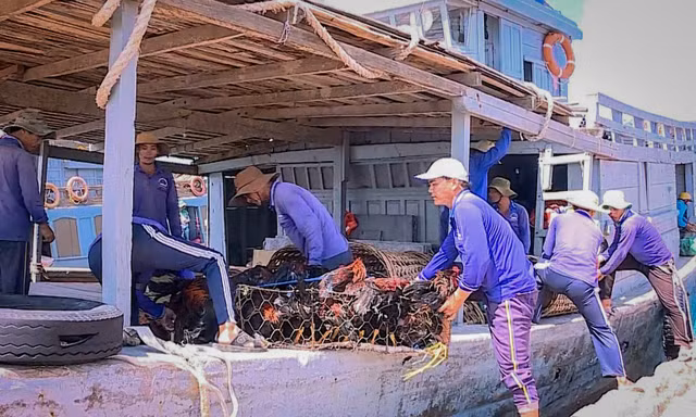 Tiểu thương tích trữ lương thực đón bão Matmo