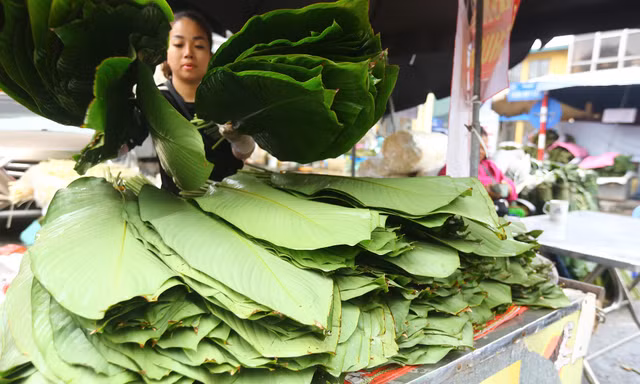 Chợ lá dong lâu đời nhất Hà Nội: Ngày bán hàng vạn lá, thu về hàng chục triệu