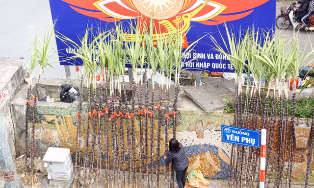 30 Tết, mía lộc 'đổ bộ' xuống phố Hà Nội chờ đón giao thừa