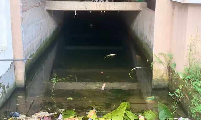 Biệt thự bất ngờ thành 'bể cá'