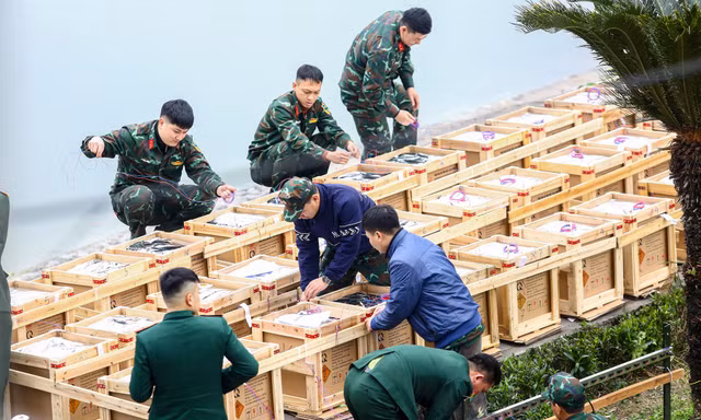 Tận thấy trận địa pháo hoa ở Hà Nội trước giờ khai hỏa
