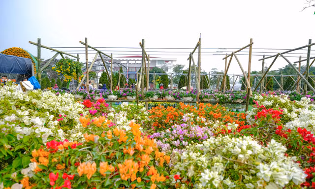 Ngàn hoa Xuân khoe sắc tại lễ hội hoa lớn nhất miền Bắc