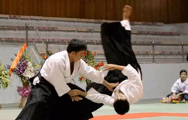 Tuyệt kỹ võ Aikido