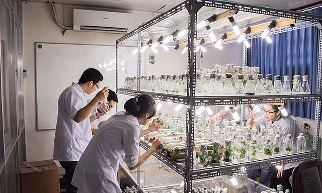 Gần 100 thí sinh được tuyển thẳng vào trường ĐH Khoa học Tự nhiên