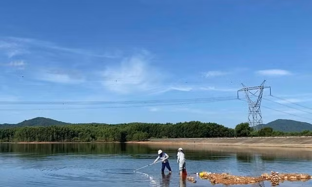 Khẩn trương tìm nguyên nhân cá chết tại hồ cấp nước cho nhà máy nước sạch ở Hà Tĩnh