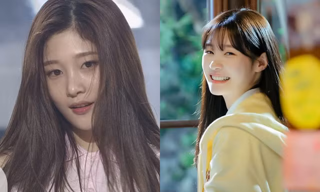 "Tiên tử kết màn" Jung Chae Yeon sẽ rực sáng trở lại nhờ "Family By Choice"?