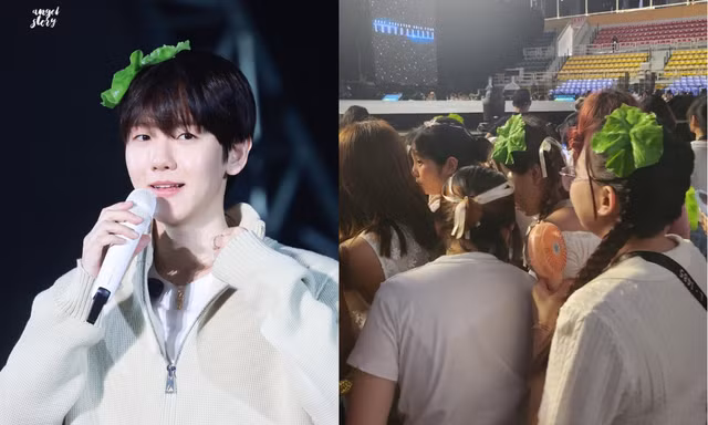 Concert của Baekhyun EXO tại TP.HCM: Khán đài biến thành "vườn rau xà lách"