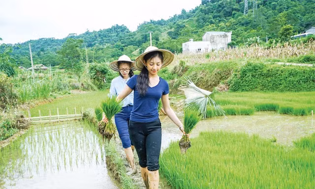 Người đẹp áo dài Lê Thanh Tú và những ấn tượng khó quên tại Hoa hậu Việt Nam