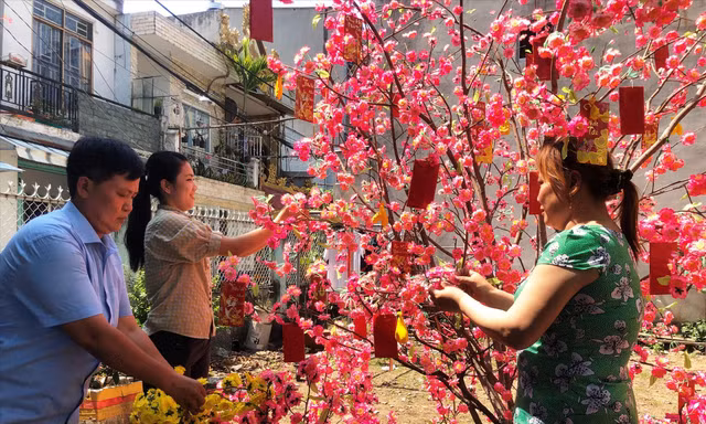 Công nhân xa quê trang trí cành đào đón xuân nơi xóm trọ