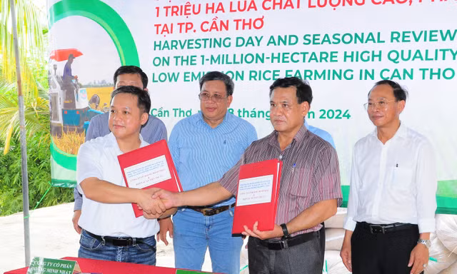 DN cùng HTX cam kết đồng hành