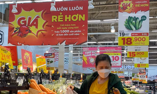 Giá hàng hóa không ngừng tăng trong 10 năm qua nhưng mức thu thuế gần như đứng im (Ảnh minh họa)