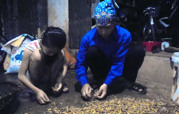 Làng nghề rang tẩm châu chấu độc nhất Việt Nam