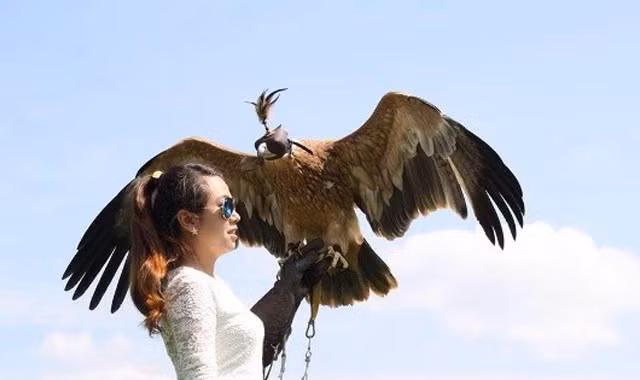 Một thành viên nữ với chú đại bàng trên tay.