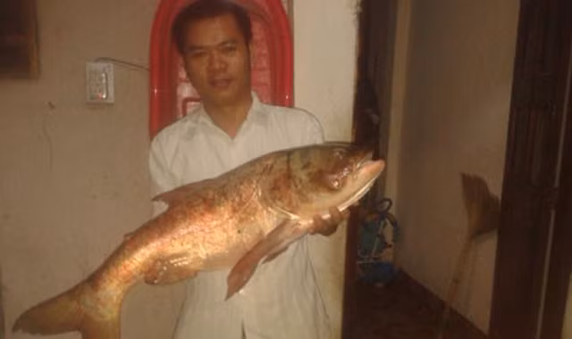 Anh Mười với con cá mè "khủng" câu được.
