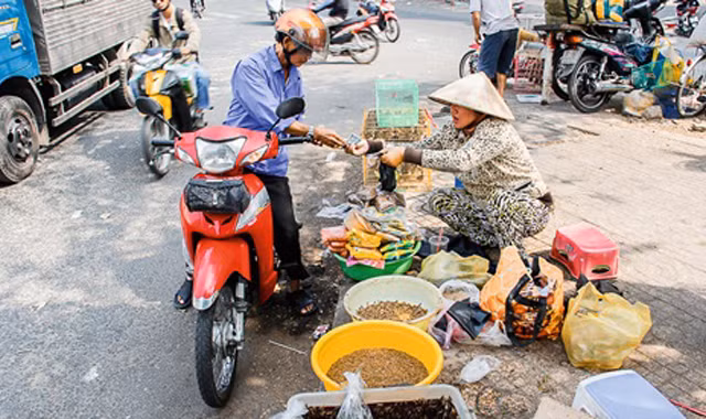 Độc đáo 'chợ' sâu bọ giữa lòng Sài Gòn