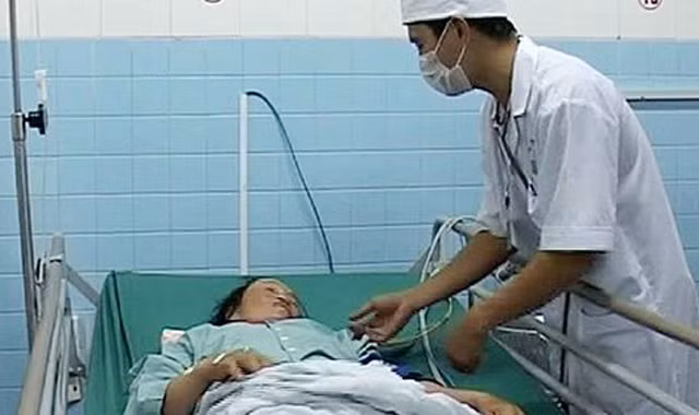 Hai nông dân ở Quảng Trị bị rắn lục đuôi đỏ cắn khi đang gặt lúa. Ảnh: Hoàng Táo.