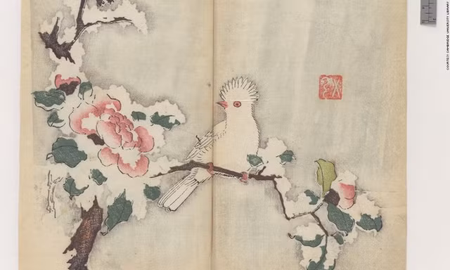 Cổ thư in màu vẹn nguyên kỳ lạ suốt 300 năm