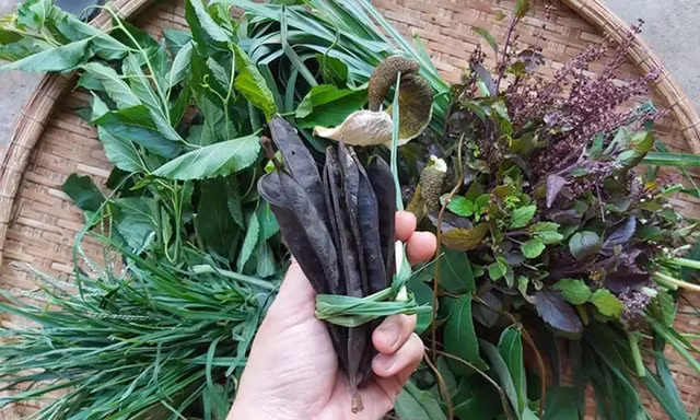 Liệu dầu gội thảo mộc đang siêu hot có khả năng “cứu rỗi” mái tóc xác xơ như lời đồn?