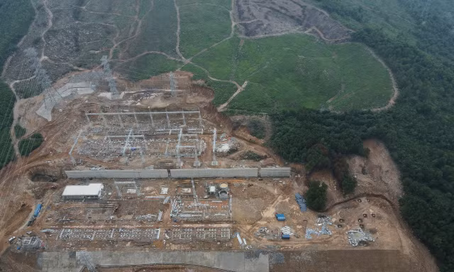 Cận cảnh 2,61 ha rừng tự nhiên bị san ủi trái phép ở Thanh Hóa