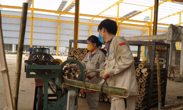 Hơn 4.000 lao động bị nợ lương, thưởng Tết cao nhất hơn 371 triệu đồng ở Thanh Hóa