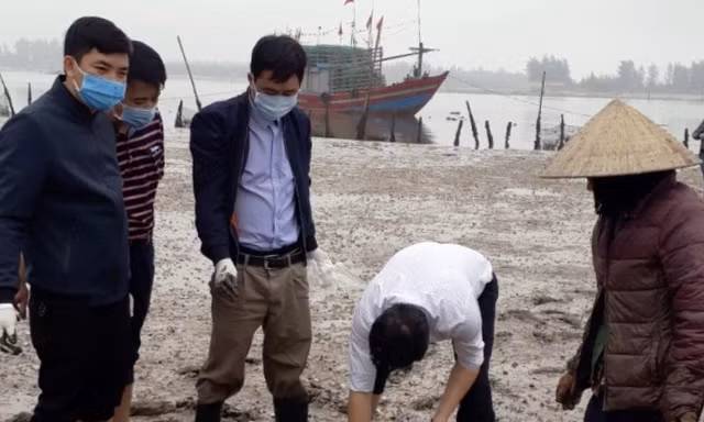 Xác định nguyên nhân ngao chết hàng loạt ở Thanh Hoá