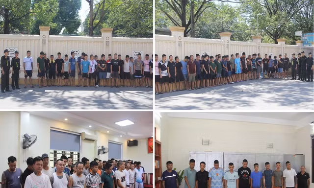 Bắt 142 đối tượng tại sới 'đá gà' ở Thanh Hoá