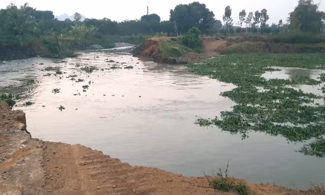 Sạt lở, vỡ 20m bờ sông nhà Lê ở Thanh Hóa