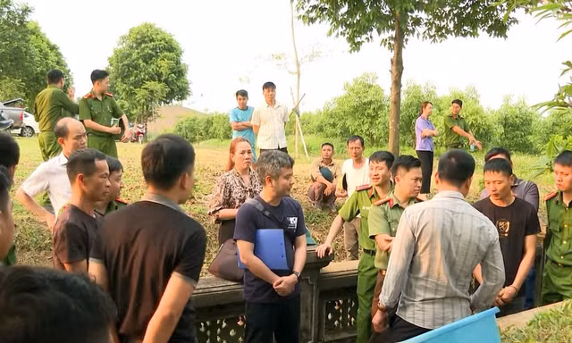 Xử lý nghiêm vụ lăng mộ vua Lê Túc Tông bị đào bới