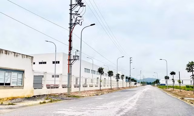 Thanh Hóa chỉ đạo xử lý doanh nghiệp có dấu hiệu gian lận hồ sơ thực hiện dự án