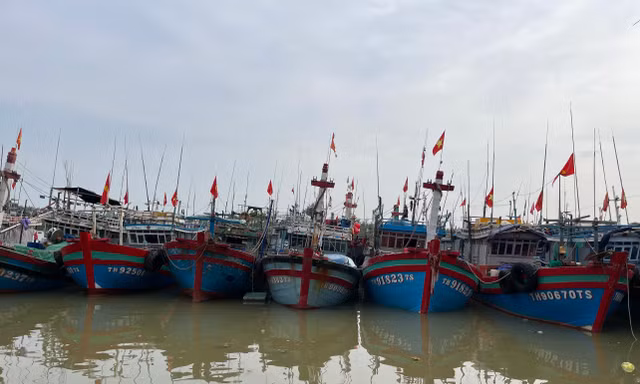 Thành lập Kiểm ngư tỉnh Thanh Hoá