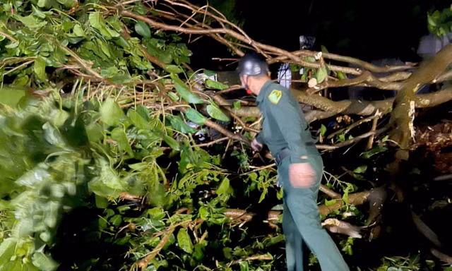 Tông vào cây gãy đổ chắn ngang đường ở Thanh Hóa, nam thanh niên tử vong