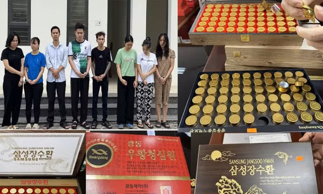 Phá đường dây sản xuất, tiêu thụ hàng chục nghìn hộp 'an cung ngưu hoàng hoàn' giả 