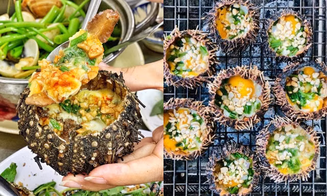 Những món ngon tuyệt hảo và lạ lẫm từ nhum biển, bạn đã từng thử chưa?