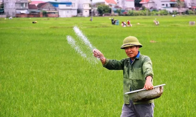Phân bón Urê trên thế giới liên tục tăng giá trong thời gian qua 