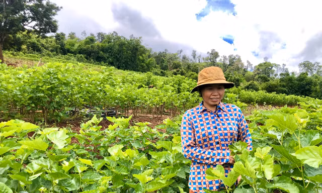 Thu nhập cao nhờ nghề 'ăn cơm đứng'