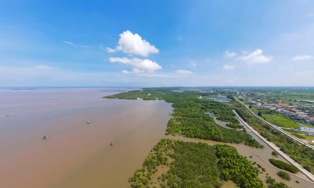 Khu rừng đặc dụng tại ba xã ven biển Nam Phú, Nam Hưng và Nam Thịnh, huyện Tiền Hải, tỉnh Thái Bình, còn gọi là khu Bảo tồn thiên nhiên đất ngập nước Tiền Hải.