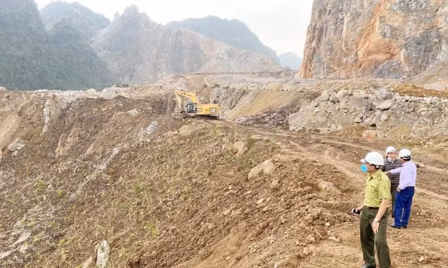 Hiện trường vụ tàn phá rừng.