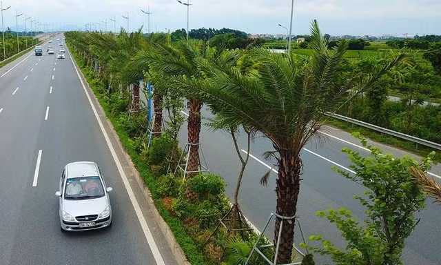 Cây xanh được trồng tại đường Võ Nguyên Giáp.