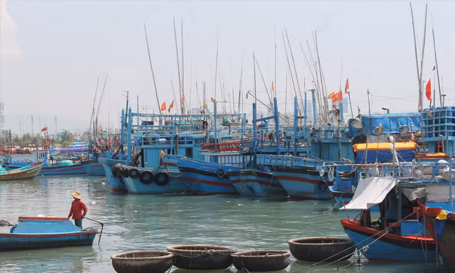 Hàng loạt tàu cá nằm bờ ở Cảng cá Hòn Rớ, xã Phước Đồng, TP Nha Trang. Ảnh: Vĩ Cầm