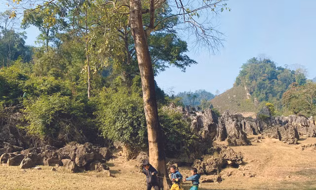 Những đứa trẻ nô đùa 