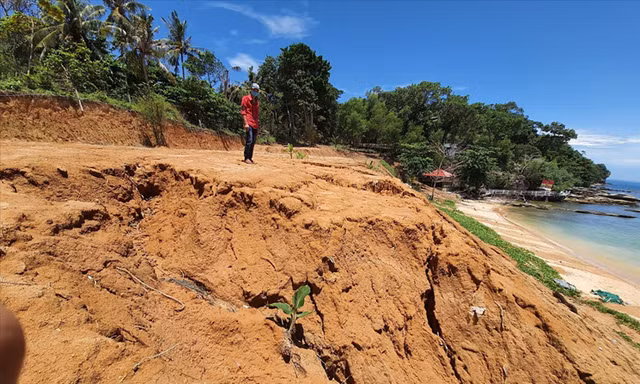 Đất rừng ven biển tại xã Gành Dầu bị san ủi.Ảnh: Hồng Lĩnh 