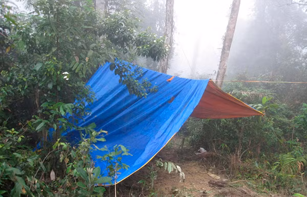 Một lán trại lâm tặc dựng sát đường độc đạo vào khu rừng bị phá