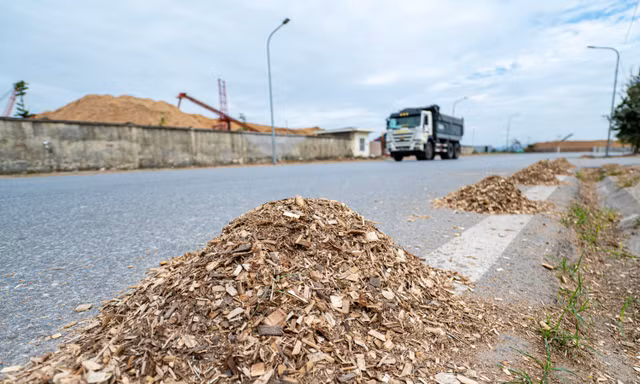 Báo động, vận chuyển gỗ dăm gây ô nhiễm môi trường ở Hạ Long