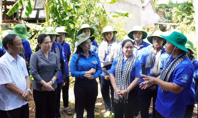'Chiến dịch Thanh niên tình nguyện Hè 2026' sẽ diễn ra với nhiều hoạt động an sinh, hỗ trợ thanh thiếu nhi
