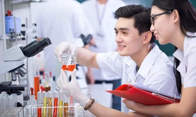 Không thực hiện đối với các ngành thuộc lĩnh vực sức khỏe có cấp chứng chỉ hành nghề. Ảnh minh hoạ