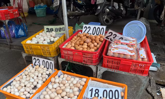 Trứng gà rẻ chưa từng có