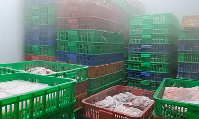 Hàng tấn thịt gia súc, gia cầm không rõ nguồn gốc
