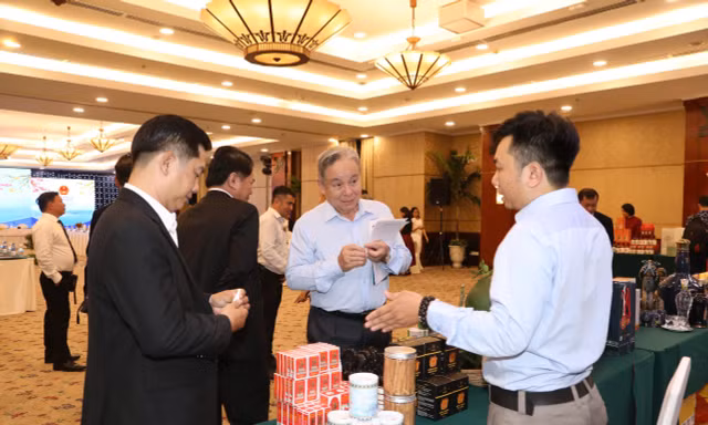 Bình Định ‘trải thảm đỏ’ mời gọi doanh nghiệp TPHCM 