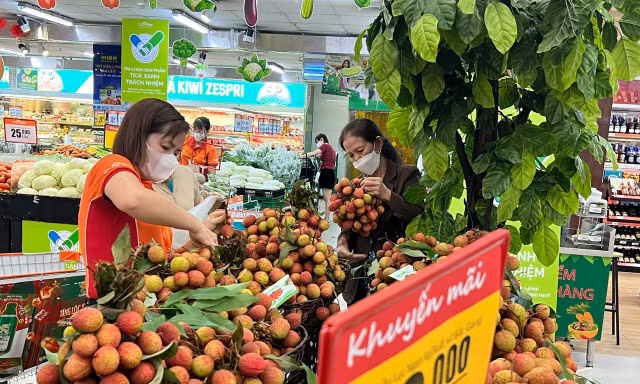 Vải thiều 'phủ đỏ' từ chợ đến siêu thị TPHCM